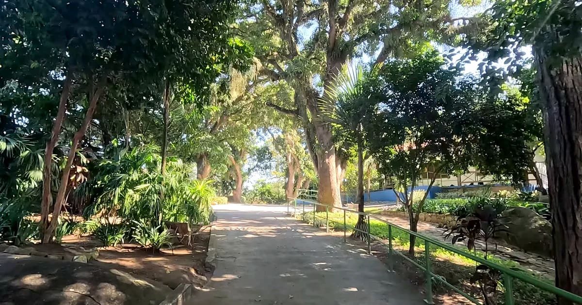 Parque Natural Chácara Von Schilgen - Vitória ES Trilha arborizada no Parque Natural Chácara Von Schilgen em Vitória ES