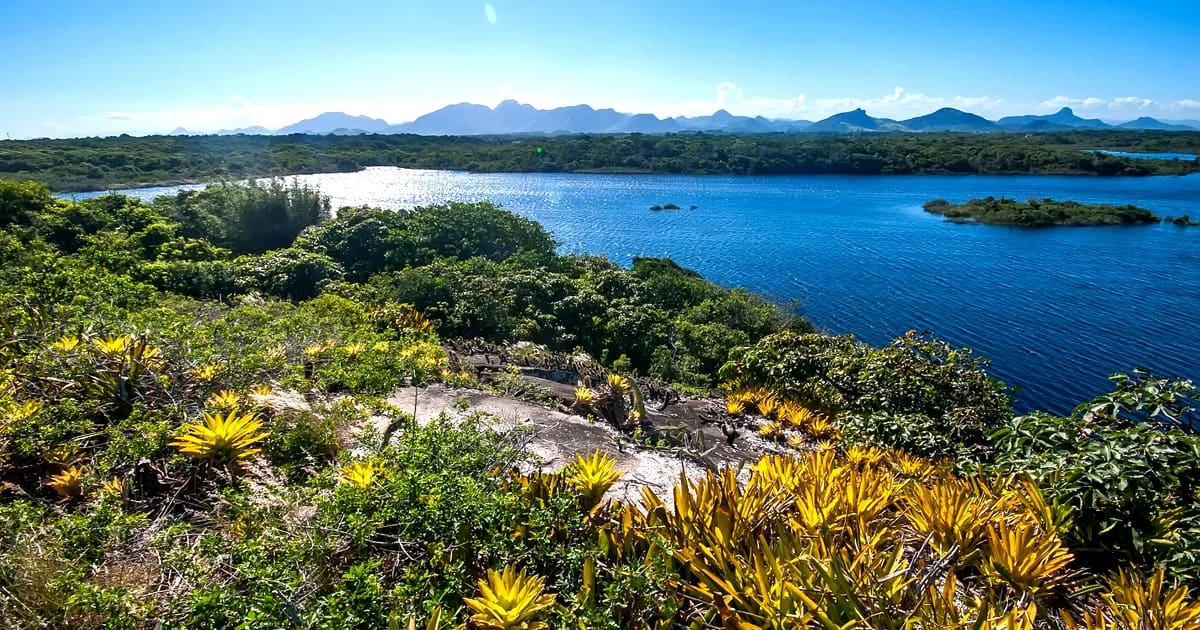 Parque Estadual Paulo César Vinha - Guarapari ES Vista do Parque Estadual Paulo César Vinha em Guarapari com lago e vegetação