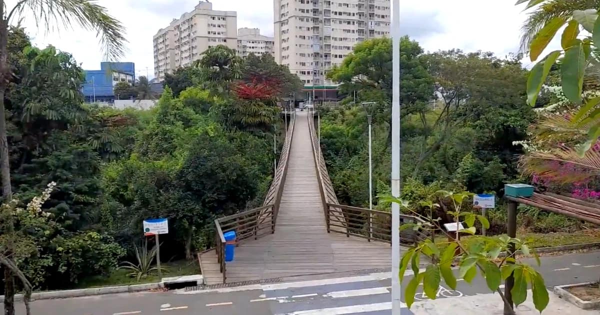Ponte em parque urbano de Vitória ES Ponte de madeira em parque urbano de Vitória ES com vegetação ao redor
