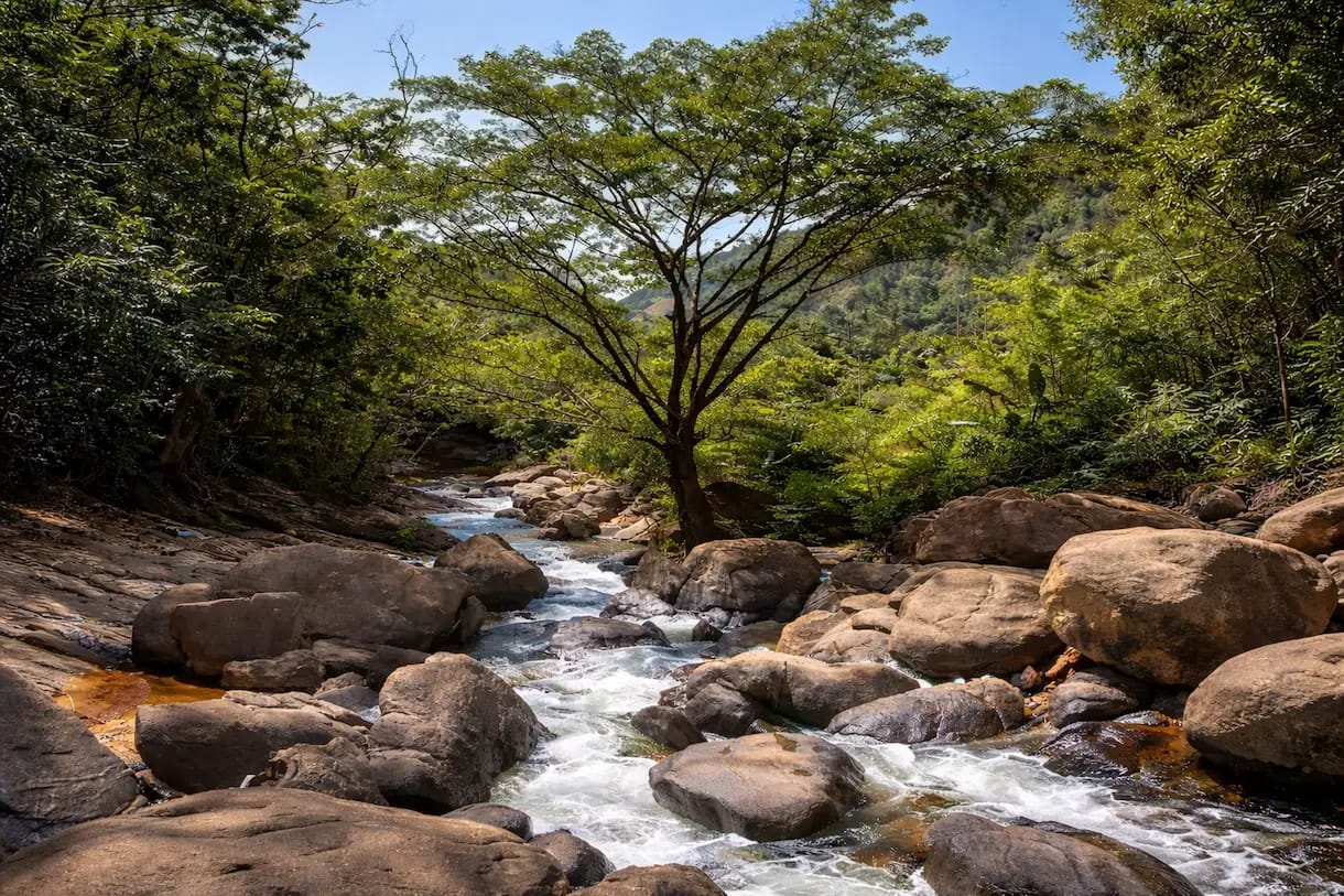 Trilha Cachoeira do Palito Trilha com travessia de rio na Cachoeira do Palito